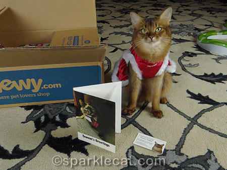 tortoiseshell cat card, somali cat, cat in Christmas dress