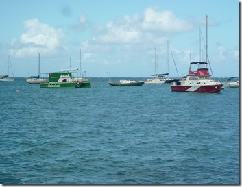P1050235
