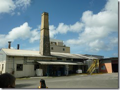 P1050241