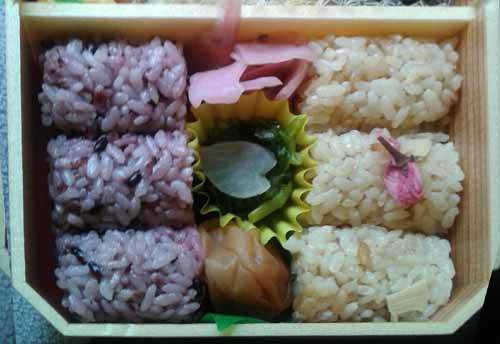 Rice_Bento