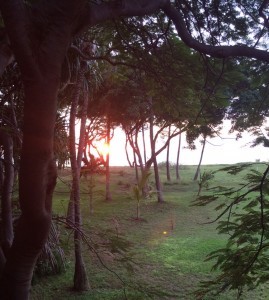 The view off my balcony in Maui. Isn't it absolutely gorgeous?