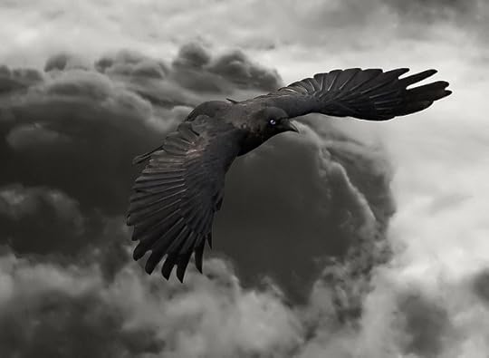 RAVEN STORM