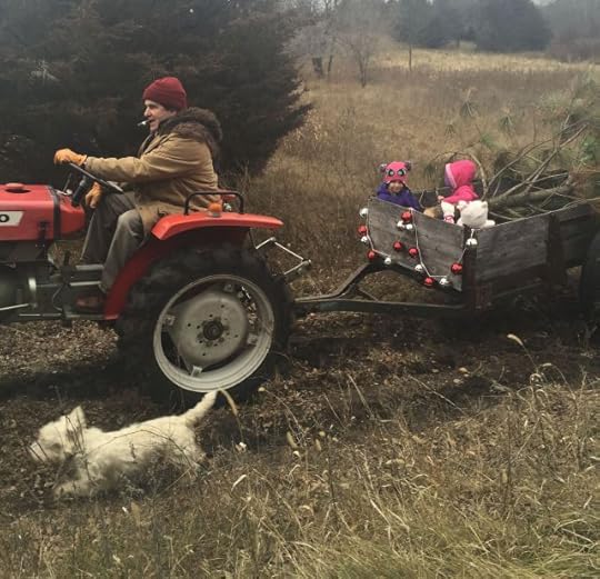 getting the christmas tree