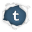 Share on Tumblr