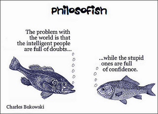 philosofish 41