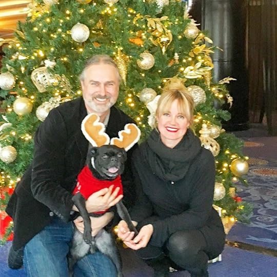 12353193_710566922376499_69335932_n