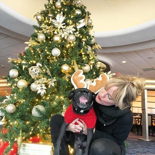 12328163_1499971020308798_1176091865_n