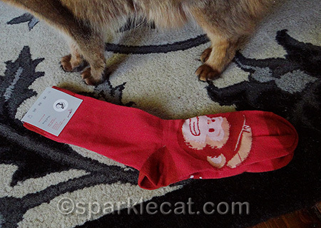mailchimp socks, kitty feet, somali cat