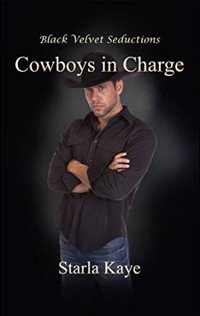 Cowboys in Charge -200x316