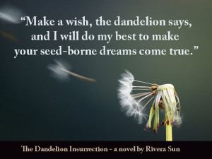 Make-a-Wish