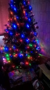 12363185_895761463874427_7318067803037472024_o