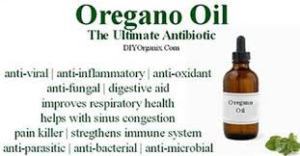 benefits of oregano oil