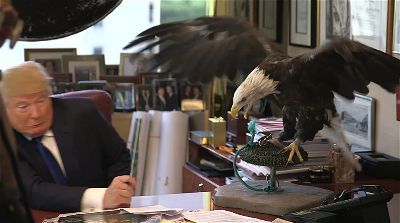 Donald Trump Bald Eagle Attack