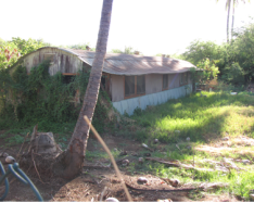 Sugar plantation shack, Strange Markings, Hawaii-Noir Mystery, Janet Elizabeth Lynn, Will Zeilinger