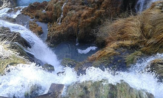 20151212_101644