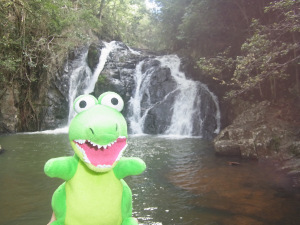 Crisis at Dinner Falls, Atherton.