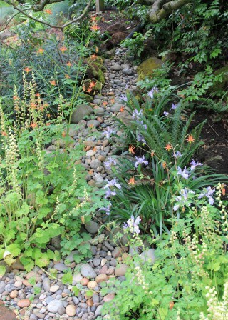 swale from disconnected downspout