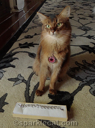 Somali cat, silver bracelet, necklace, secret paws, Christmas gifts
