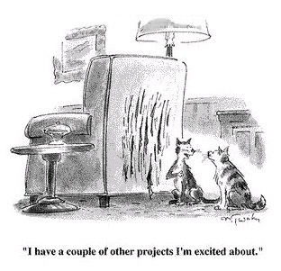 other-projects-excited