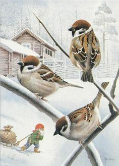 9cef5342cff5381cd7ec66b00b72e9ae