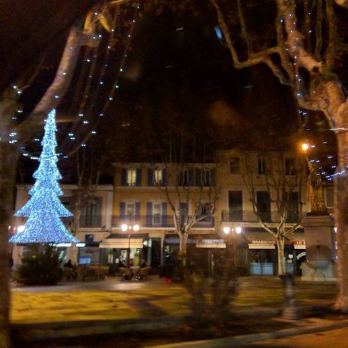 Village-tree