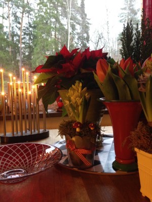 Mitt jul-stilleben i köket