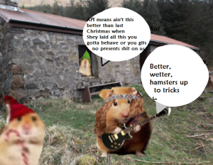 zmed-bbbbbbbubb290909