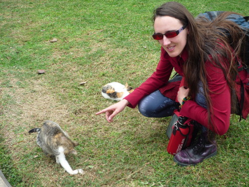 cat sanctuary Lima