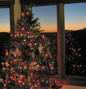 My Xmas Tree 2015