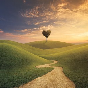 lifepath-300x300