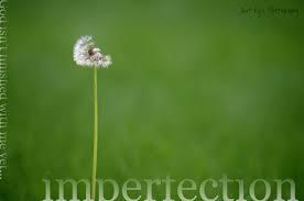 imperfection