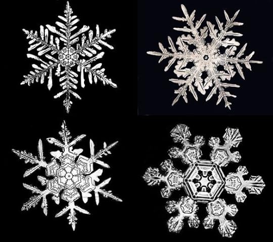 Bently Snowflakes