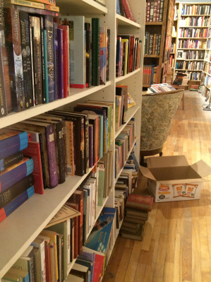 The Black Squirrel Book shop (1)