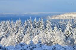 whidbey snow storm