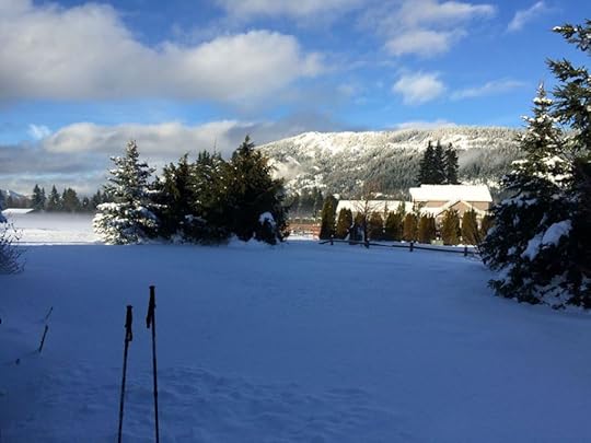 snow2