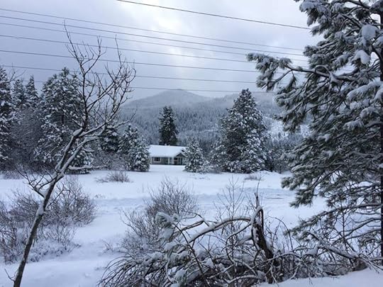 snow1