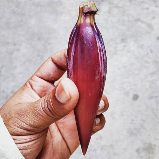 10271404_10205483728156254_4608326395476945985_o