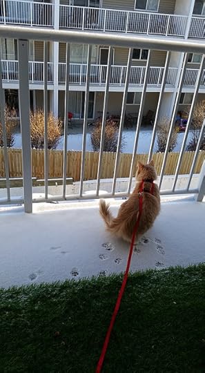 10603389_10153523028833778_5861850021094543683_n