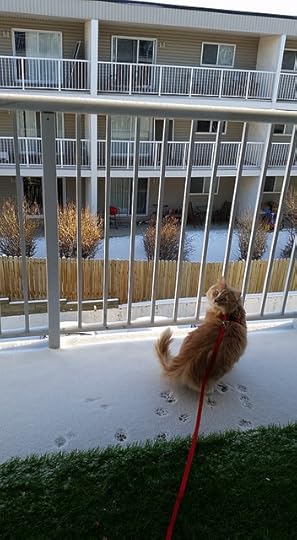 1936431_10153523029898778_3179813351484138680_n