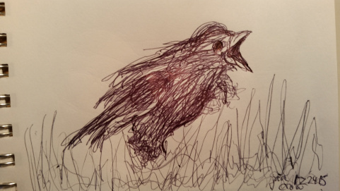 crow
