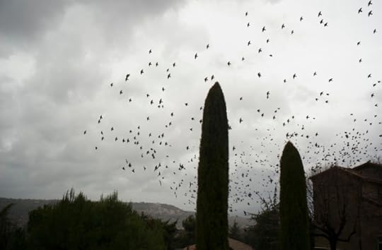 12-25 flight L1003706