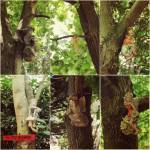 1653693_10208568017424396_5596436865043246606_n