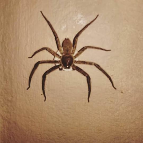 12377773_10205483762917123_2473158702718012748_o