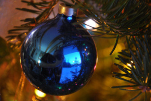 photo credit: Josh Hrkach 2011 (copyright)