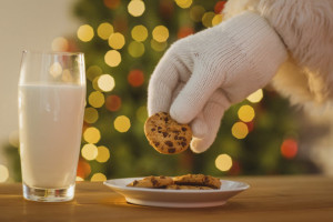 SantaChristmasCookies