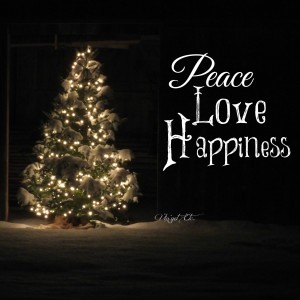 PeaceLoveHappiness-ChristmasTour20131