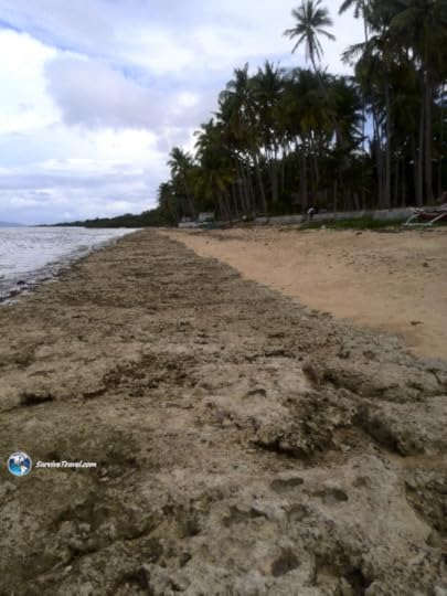 Mactang Beach Review Camotes - Survive Travel (2)