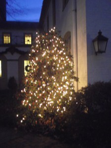 DSCF4377