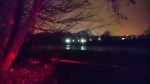 BINGLEY 6