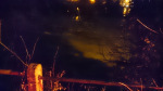 BINGLEY 7